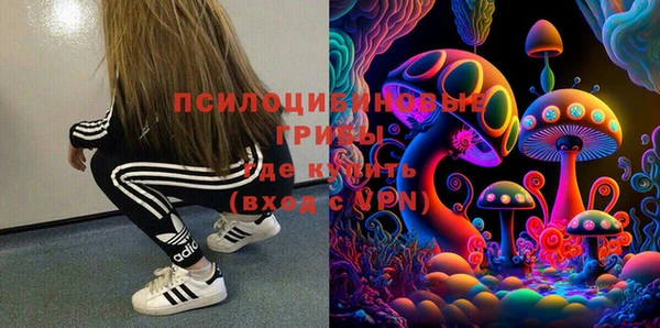 гидра Киренск