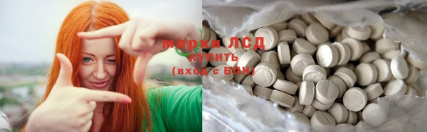 гидра Киренск