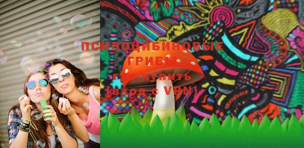 гидра Киренск