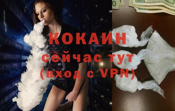 гидра Киренск