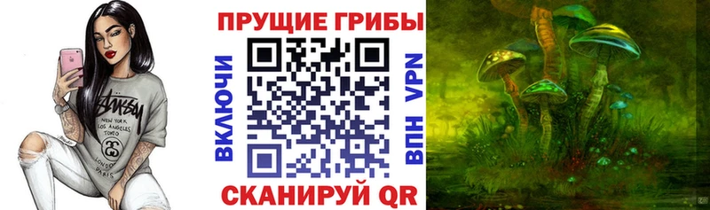 Псилоцибиновые грибы Cubensis  Купить  Зима 