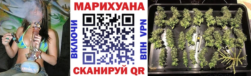 Каннабис тримм  Купить  Зима 